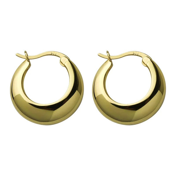 Planet Gates ANENJERY Geometric Chunky Hoop Earrings for Women Punk Ear Jewelry Wholesale