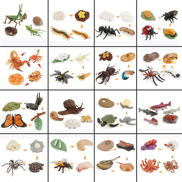 Planet Gates Animal Life Cycle Board Children Toys Montessori Teaching Aids Plant Animal Growth Cycle Model Set preschool cognitive Toys