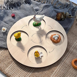 Planet Gates Animal Life Cycle Board Children Toys Montessori Teaching Aids Plant Animal Growth Cycle Model Set preschool cognitive Toys