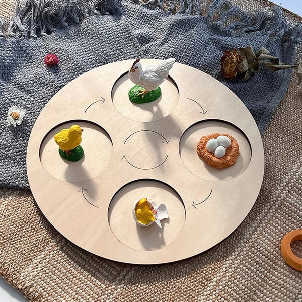 Planet Gates Animal Life Cycle Board Children Toys Montessori Teaching Aids Plant Animal Growth Cycle Model Set preschool cognitive Toys