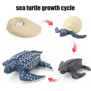 Planet Gates Animal Life Cycle Board Children Toys Montessori Teaching Aids Plant Animal Growth Cycle Model Set preschool cognitive Toys