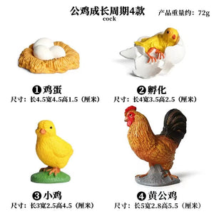 Planet Gates Animal Life Cycle Board Children Toys Montessori Teaching Aids Plant Animal Growth Cycle Model Set preschool cognitive Toys