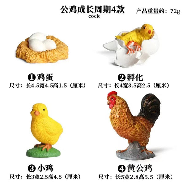 Planet Gates Animal Life Cycle Board Children Toys Montessori Teaching Aids Plant Animal Growth Cycle Model Set preschool cognitive Toys