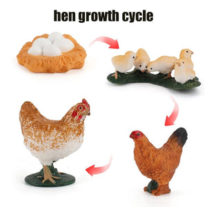 Planet Gates Animal Life Cycle Board Children Toys Montessori Teaching Aids Plant Animal Growth Cycle Model Set preschool cognitive Toys