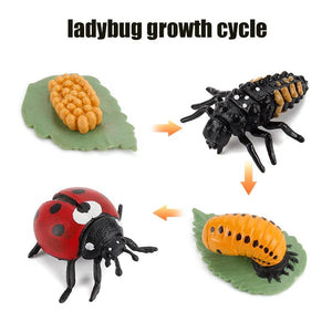 Planet Gates Animal Life Cycle Board Children Toys Montessori Teaching Aids Plant Animal Growth Cycle Model Set preschool cognitive Toys