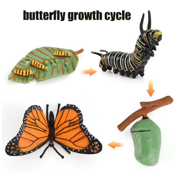 Planet Gates Animal Life Cycle Board Children Toys Montessori Teaching Aids Plant Animal Growth Cycle Model Set preschool cognitive Toys