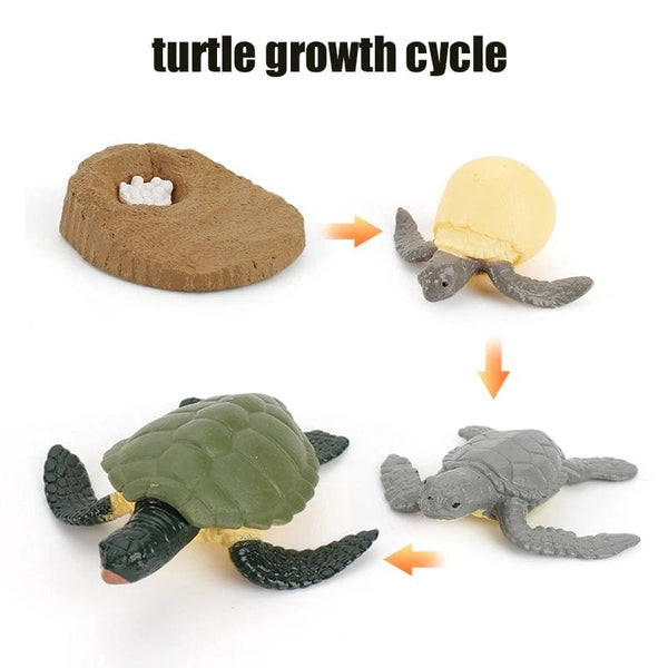 Planet Gates Animal Life Cycle Board Children Toys Montessori Teaching Aids Plant Animal Growth Cycle Model Set preschool cognitive Toys