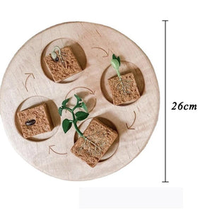 Planet Gates Animal Life Cycle Board Children Toys Montessori Teaching Aids Plant Animal Growth Cycle Model Set preschool cognitive Toys