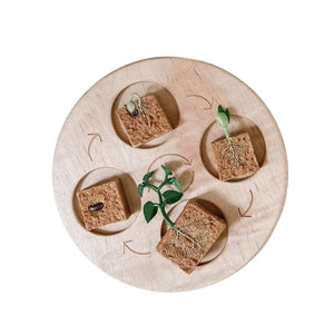 Planet Gates Animal Life Cycle Board Children Toys Montessori Teaching Aids Plant Animal Growth Cycle Model Set preschool cognitive Toys