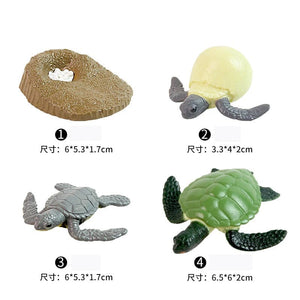 Planet Gates Animal Life Cycle Board Children Toys Montessori Teaching Aids Plant Animal Growth Cycle Model Set preschool cognitive Toys