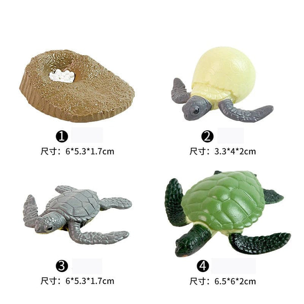 Planet Gates Animal Life Cycle Board Children Toys Montessori Teaching Aids Plant Animal Growth Cycle Model Set preschool cognitive Toys