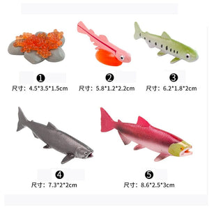 Planet Gates Animal Life Cycle Board Children Toys Montessori Teaching Aids Plant Animal Growth Cycle Model Set preschool cognitive Toys