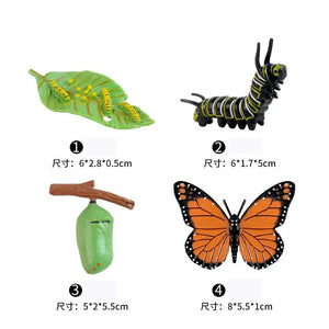 Planet Gates Animal Life Cycle Board Children Toys Montessori Teaching Aids Plant Animal Growth Cycle Model Set preschool cognitive Toys