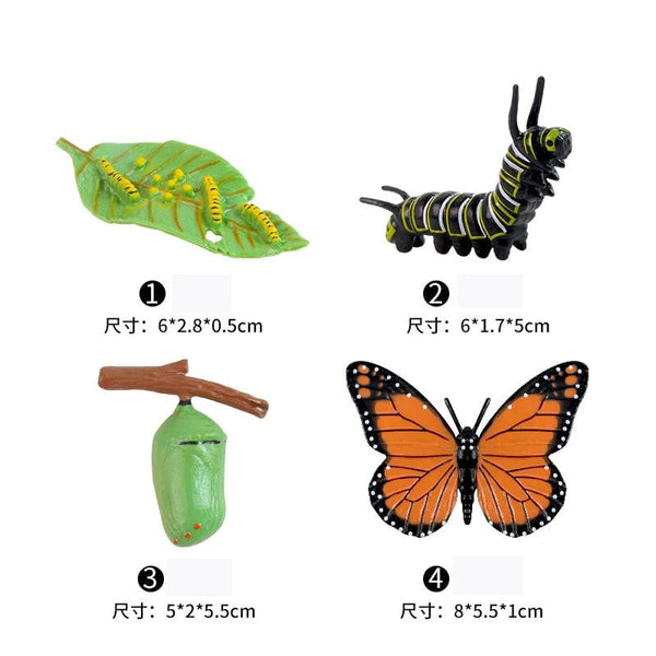 Planet Gates Animal Life Cycle Board Children Toys Montessori Teaching Aids Plant Animal Growth Cycle Model Set preschool cognitive Toys