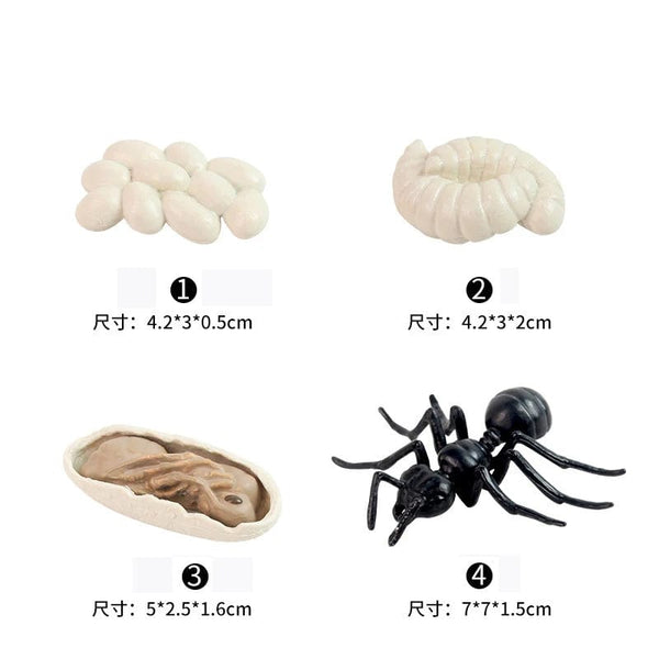 Planet Gates Animal Life Cycle Board Children Toys Montessori Teaching Aids Plant Animal Growth Cycle Model Set preschool cognitive Toys