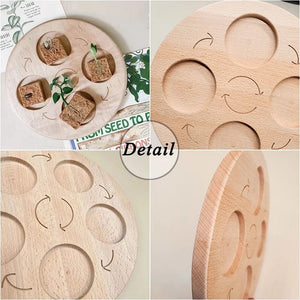 Planet Gates Animal Life Cycle Board Children Toys Montessori Teaching Aids Plant Animal Growth Cycle Model Set preschool cognitive Toys