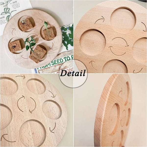 Planet Gates Animal Life Cycle Board Children Toys Montessori Teaching Aids Plant Animal Growth Cycle Model Set preschool cognitive Toys