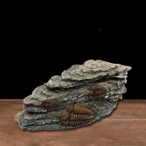 Planet Gates Animals Skull Fish Tank Fossil Dinosaur Ornaments Aquarium Rhinoceros Bone Decoration Fishbowl Crocodile Jellyfish Carp Turtle