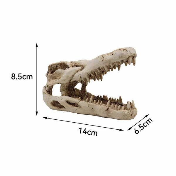 Planet Gates Animals Skull Fish Tank Fossil Dinosaur Ornaments Aquarium Rhinoceros Bone Decoration Fishbowl Crocodile Jellyfish Carp Turtle