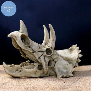 Planet Gates Animals Skull Fish Tank Fossil Dinosaur Ornaments Aquarium Rhinoceros Bone Decoration Fishbowl Crocodile Jellyfish Carp Turtle
