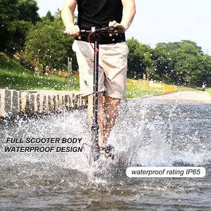 Planet Gates AOVOPRO 7.8-10.5AH Electric Scooter 350W 31KM/H Foldable Electric Kick Scooter 8.5 Inch APP Smart Escooter for Adults