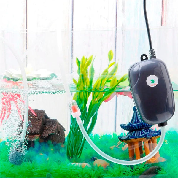 Planet Gates Aquarium Air Pump Fish Tank Mini Compressor Single Double Outlet with Check Valve Tube Aquatic Accessories 220V 3W 5W