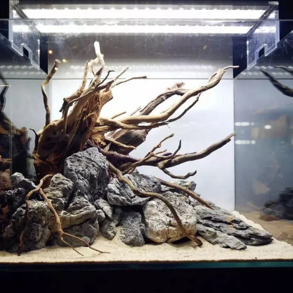 Planet Gates Aquarium Driftwood Natural Fish Tank Plant Decor Tree Aquarium Fish Bowl Stump Aquarium Home Fishtank Landscaping Decor Pet Tool