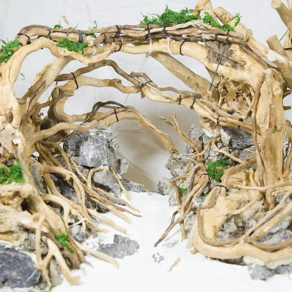 Planet Gates Aquarium Driftwood Natural Fish Tank Plant Decor Tree Aquarium Fish Bowl Stump Aquarium Home Fishtank Landscaping Decor Pet Tool