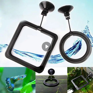 Planet Gates Aquarium Feeding Ring Fish Tank Station Floating Food Tray Feeder Square Circle Accessory Portable Fish Food Feeder Suction Cup