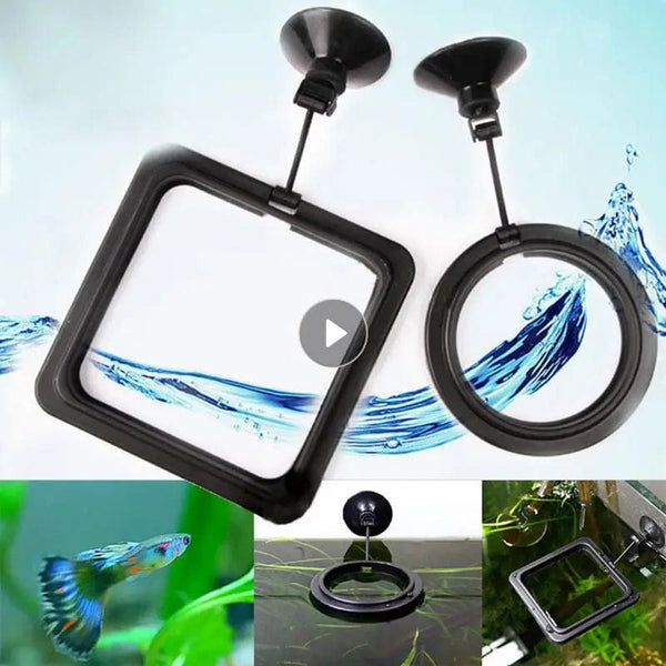 Planet Gates Aquarium Feeding Ring Fish Tank Station Floating Food Tray Feeder Square Circle Accessory Portable Fish Food Feeder Suction Cup