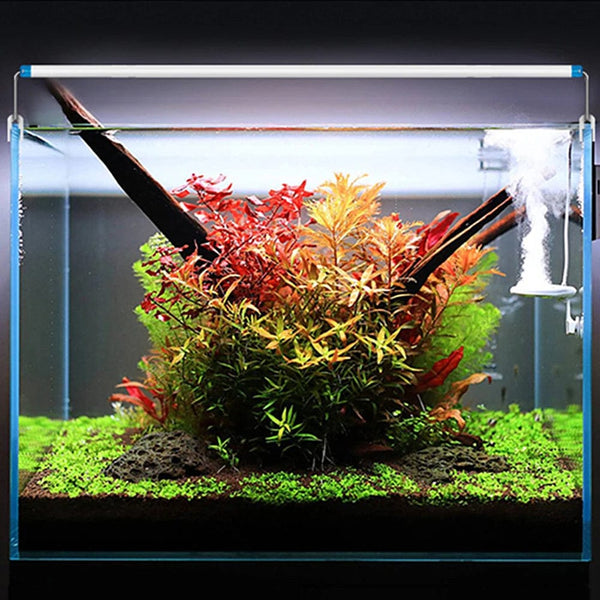Planet Gates Aquarium LED Light EU/US Plug Fish Tank Aquatic Plant Grow Lighting 28/48cm White Blue Clip Lamp