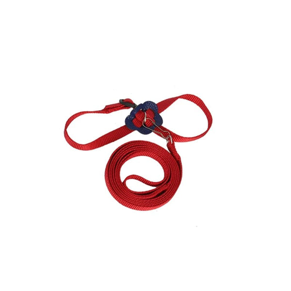 Planet Gates as picture 3 Parrot Bird Hamster Turtle lizard leash Outdoor Flying Traction Straps  Adjustable Anti-Bite Training Rope bird training supplie