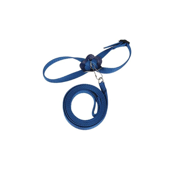 Planet Gates as picture 4 Parrot Bird Hamster Turtle lizard leash Outdoor Flying Traction Straps  Adjustable Anti-Bite Training Rope bird training supplie