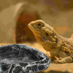 Planet Gates As Shown / 11X10X3CM Reptile Fogger Water Basin Pet Feeding Container Food Bowl Spider Terrarium Resin Tortoise Crawling Holder