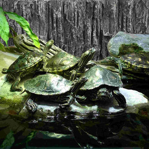 Planet Gates As Shown / 45x30cm Background Rock Slab 3d Aquarium Snake Habitat Decoration Terrarium Glass Containers Fish Tank Decorative Pu Boards