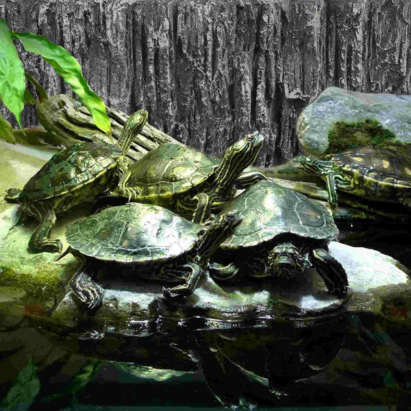 Planet Gates As Shown / 45x30cm Background Rock Slab 3d Aquarium Snake Habitat Decoration Terrarium Glass Containers Fish Tank Decorative Pu Boards