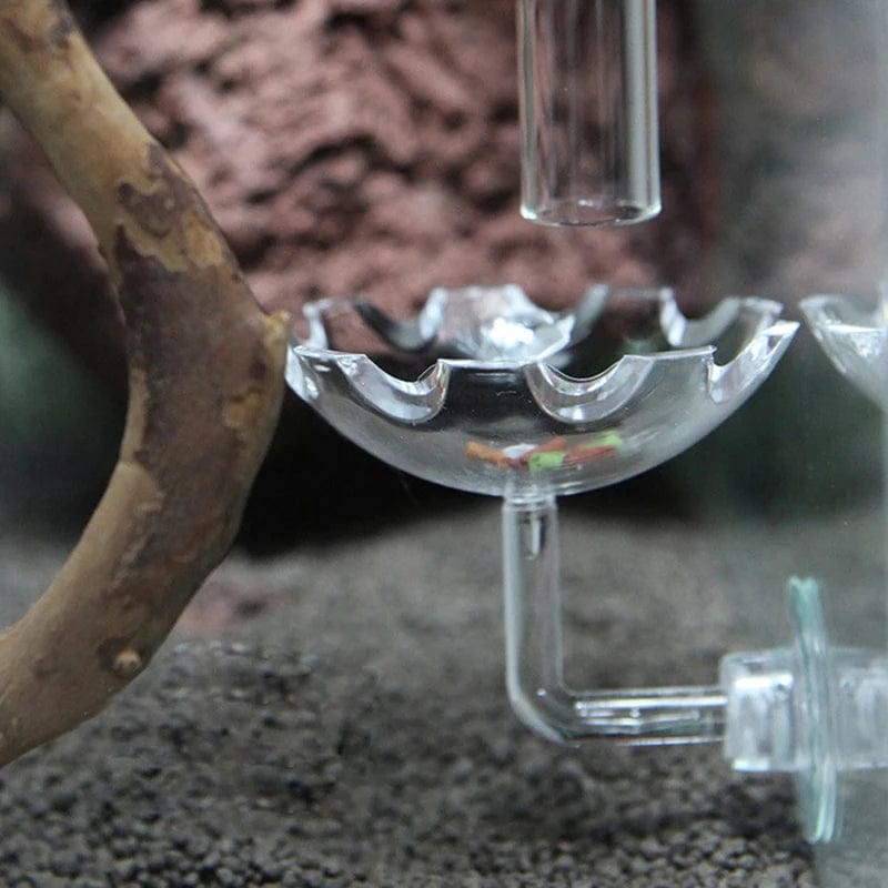 Planet Gates as shown Shrimp Feeder Dish Shrimp Feed Dish Aquarium Fish Tank Shrimp Food Bowl Feeding Clear Glass Feeding Tube Dish Suction Accessory