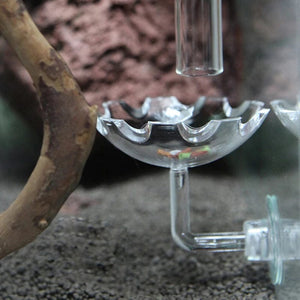 Planet Gates as shown Shrimp Feeder Dish Shrimp Feed Dish Aquarium Fish Tank Shrimp Food Bowl Feeding Clear Glass Feeding Tube Dish Suction Accessory