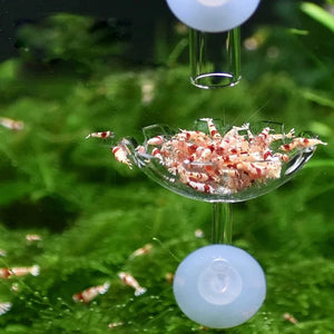 Planet Gates as shown Shrimp Feeder Dish Shrimp Feed Dish Aquarium Fish Tank Shrimp Food Bowl Feeding Clear Glass Feeding Tube Dish Suction Accessory