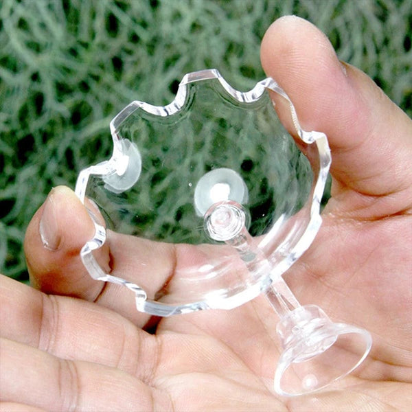 Planet Gates as shown Shrimp Feeder Dish Shrimp Feed Dish Aquarium Fish Tank Shrimp Food Bowl Feeding Clear Glass Feeding Tube Dish Suction Accessory
