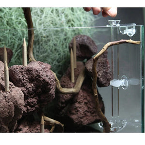 Planet Gates as shown Shrimp Feeder Dish Shrimp Feed Dish Aquarium Fish Tank Shrimp Food Bowl Feeding Clear Glass Feeding Tube Dish Suction Accessory