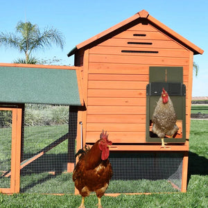 Planet Gates Automatic Chicken Coop Door Opener Battery Powered Light Sense Control Waterproof Pet Flap Accessories Upgrade ABS House Gate