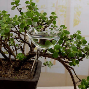 Planet Gates Automatic Plant Watering Bulbs Self Watering Ball/Bird Shape Water Device Drip Irrigation System for Home Garden Flower Plants