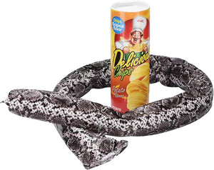 Planet Gates AW949 The Potato Chip Snake Can Jump Stage Magic Tricks Spring Snake Toy April Fool Day Halloween Party Jokes in A Can Gag Gift Prank