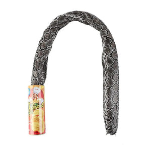 Planet Gates AW949 The Potato Chip Snake Can Jump Stage Magic Tricks Spring Snake Toy April Fool Day Halloween Party Jokes in A Can Gag Gift Prank