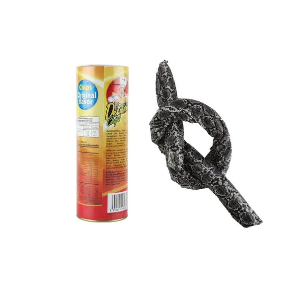 Planet Gates AW949 The Potato Chip Snake Can Jump Stage Magic Tricks Spring Snake Toy April Fool Day Halloween Party Jokes in A Can Gag Gift Prank