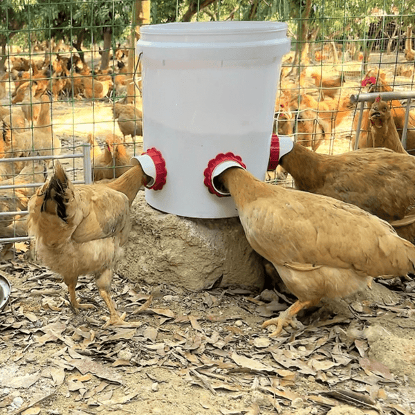 Planet Gates B Feeder And Stopper 1pc 1/2/3pcs, DIY Chicken Feeders No Waste, Poultry Feeder With Covers Gravity Feed Kit Ports Hole Saw For Buckets Barrels Bins Troughs