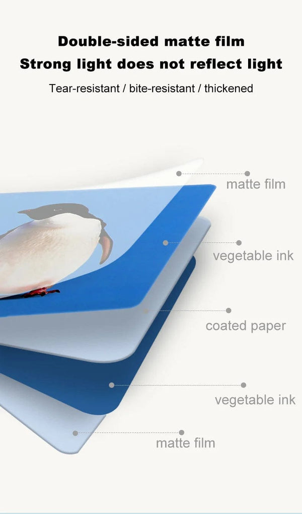 Planet Gates Baby Visual Stimulation Cards Montessori High Contrast Flash Card Infant Gift For Children Cognition Toy