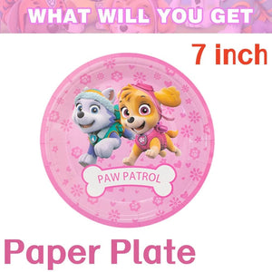 Planet Gates Balloon Suit 8-9PCS / CHINA Pink Paw Patrol Skye Birthday Party Decorations Skye Foil Latex Balloons  Tableware Plate Backdrop For Kids Girls Party Supplies