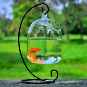 Planet Gates Black-01 Round/Rectangle Shape Hanging Glass Aquarium Fish Tank Fish Bowl Transparent Vase Ornament With Rack Holder Home Decoration